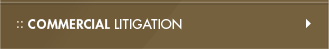 Commercial Litigation